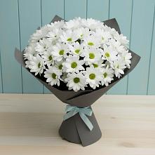 Букет белые хризантемы в Агрогородок Букет цветов из:  Хризантемы в Агрогородок
